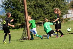 九游体育官网入口-体育新闻中心特别快讯播报，体育新闻最新快报