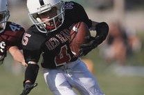 Jiu You-体育新闻中心今日热点聚焦，体育新闻f1